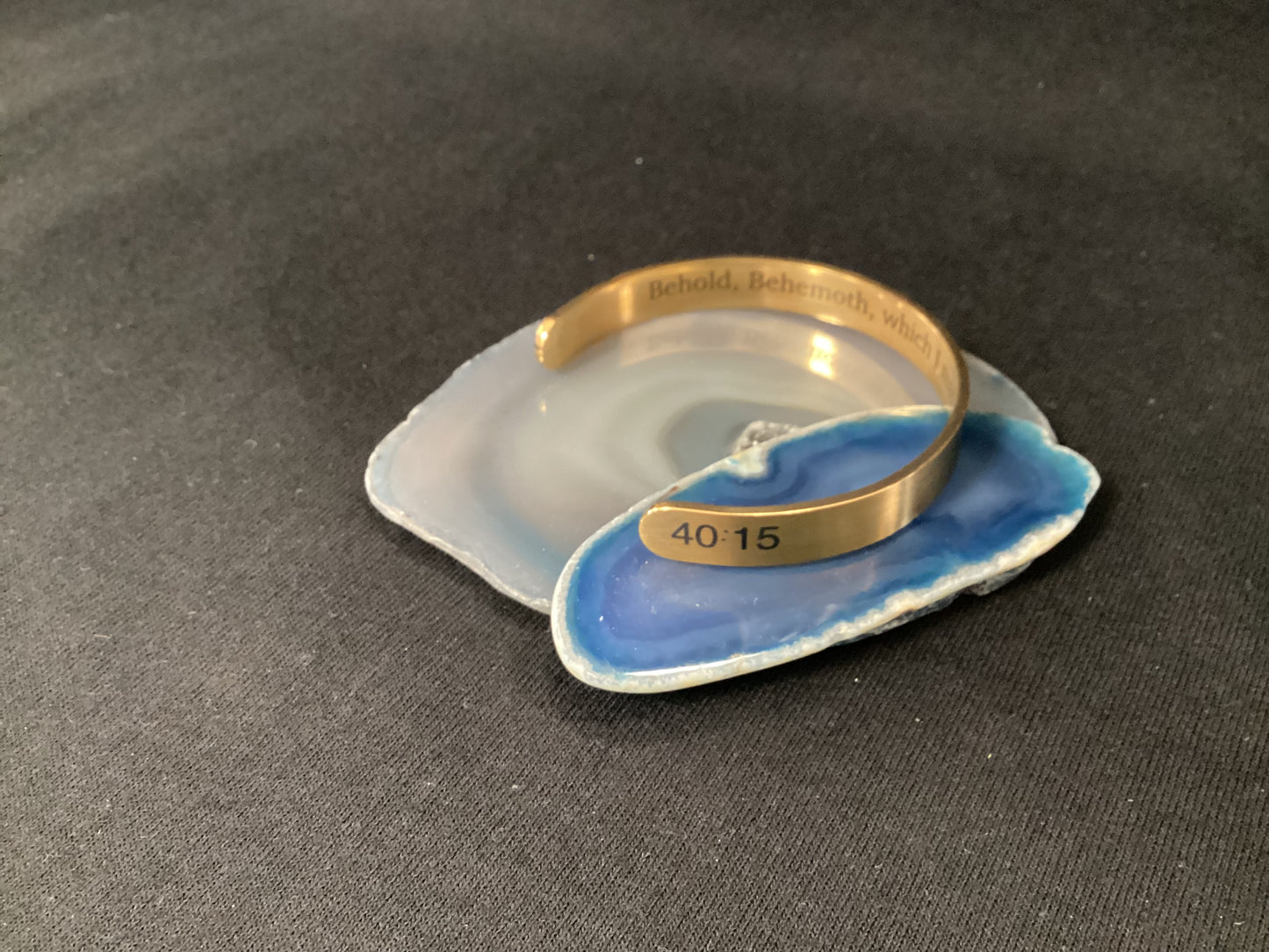 Dinosaur Bracelet