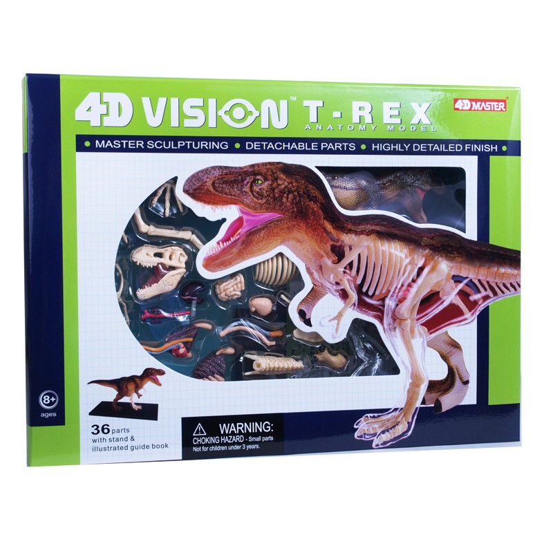 4D Vision - T-Rex Anatomy