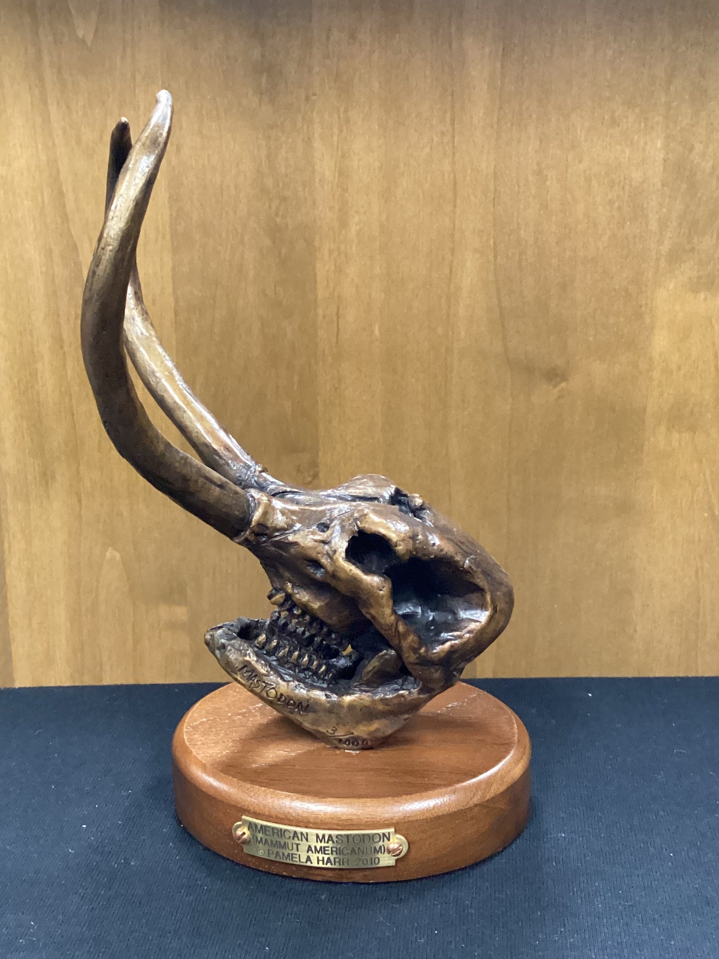 Mastodon Skull-Mounted