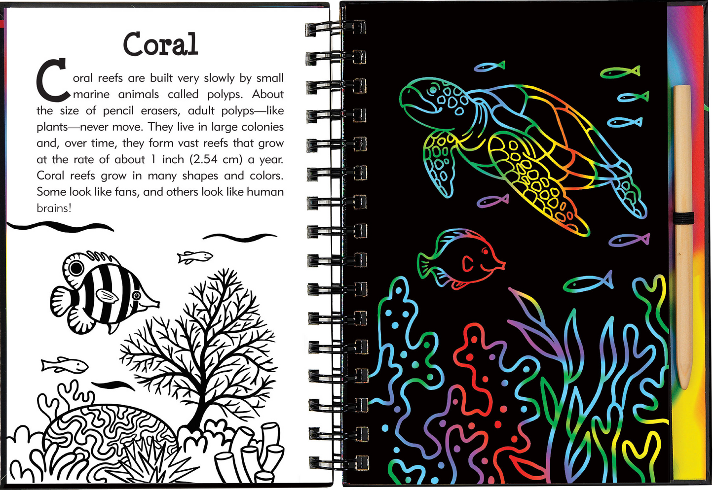 Under the Sea Scratch and Sketch