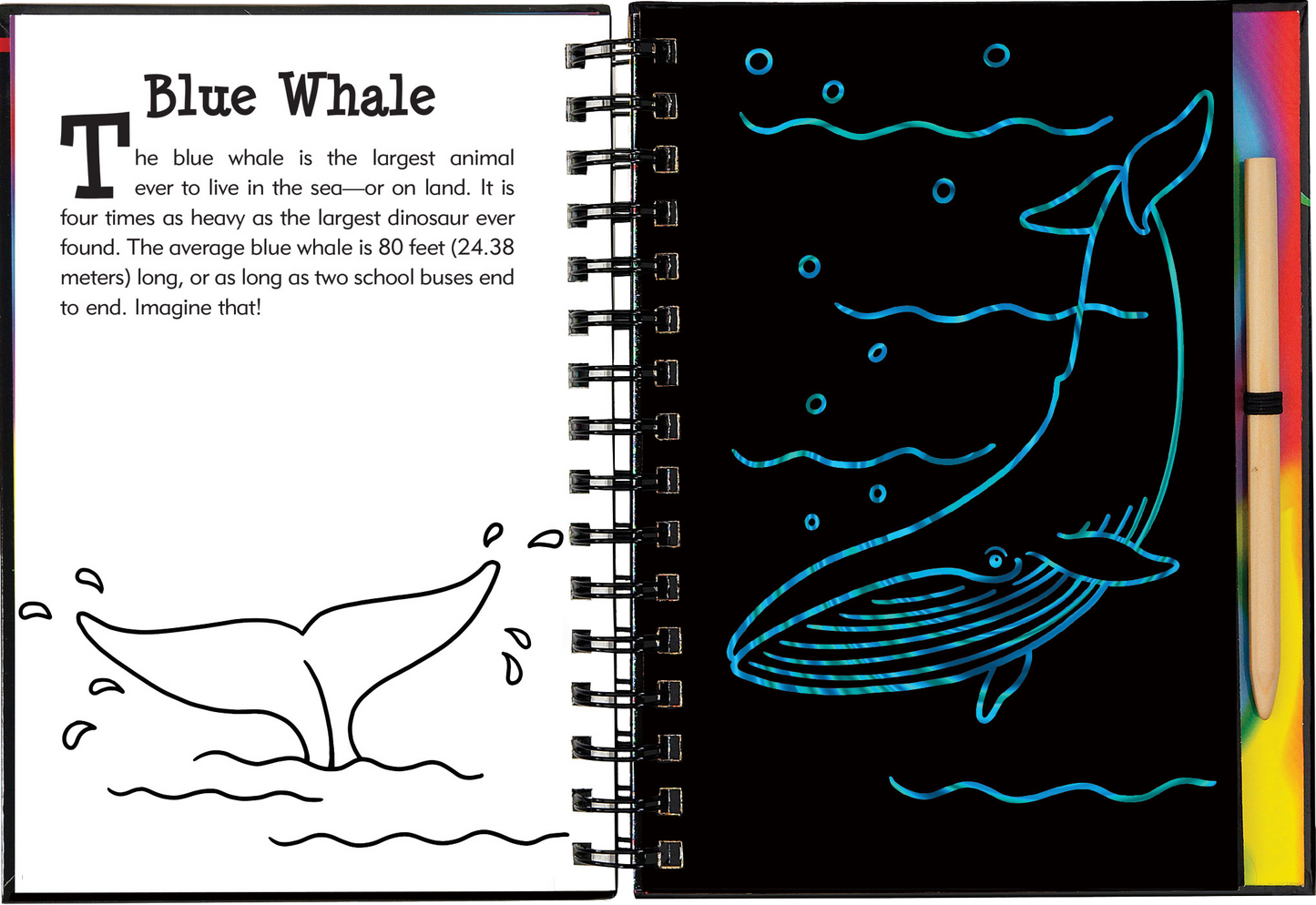 Under the Sea Scratch and Sketch