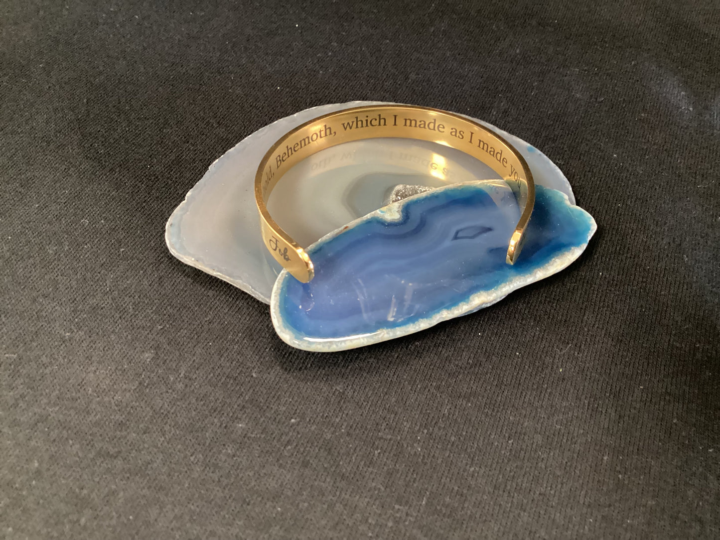 Dinosaur Bracelet