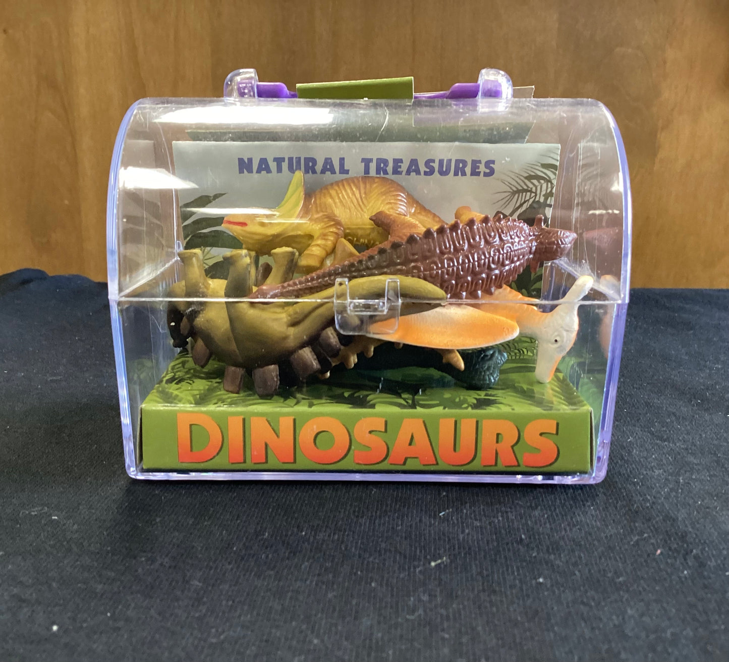 Natural Treasures Dinosaur Box