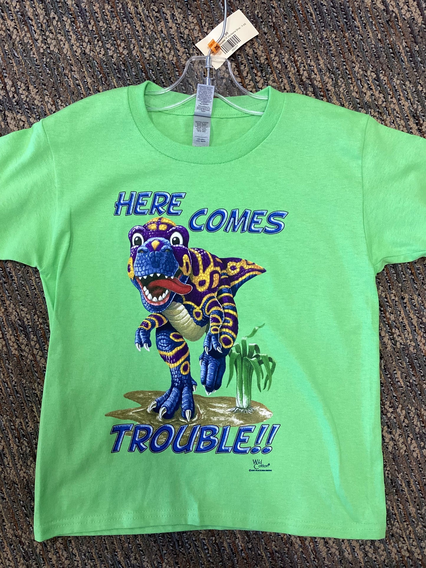 Dino Trouble T-Shirt, Youth