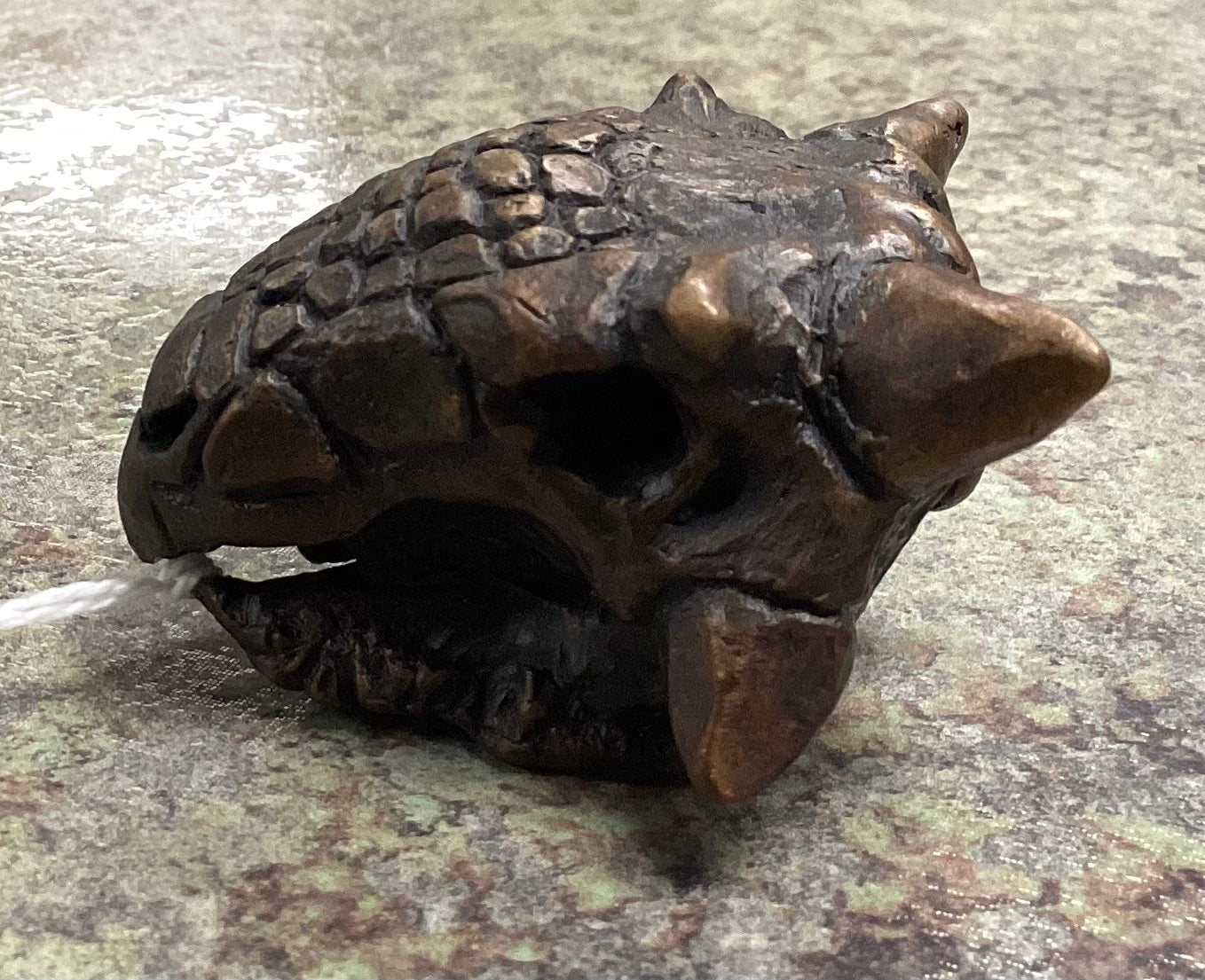 Ankylosurus Skull-Unmounted