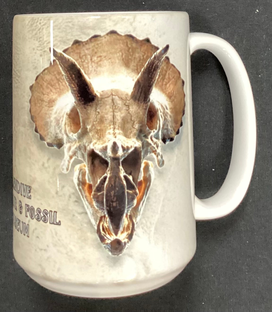 Ceramic Mug - Triceratops Skull