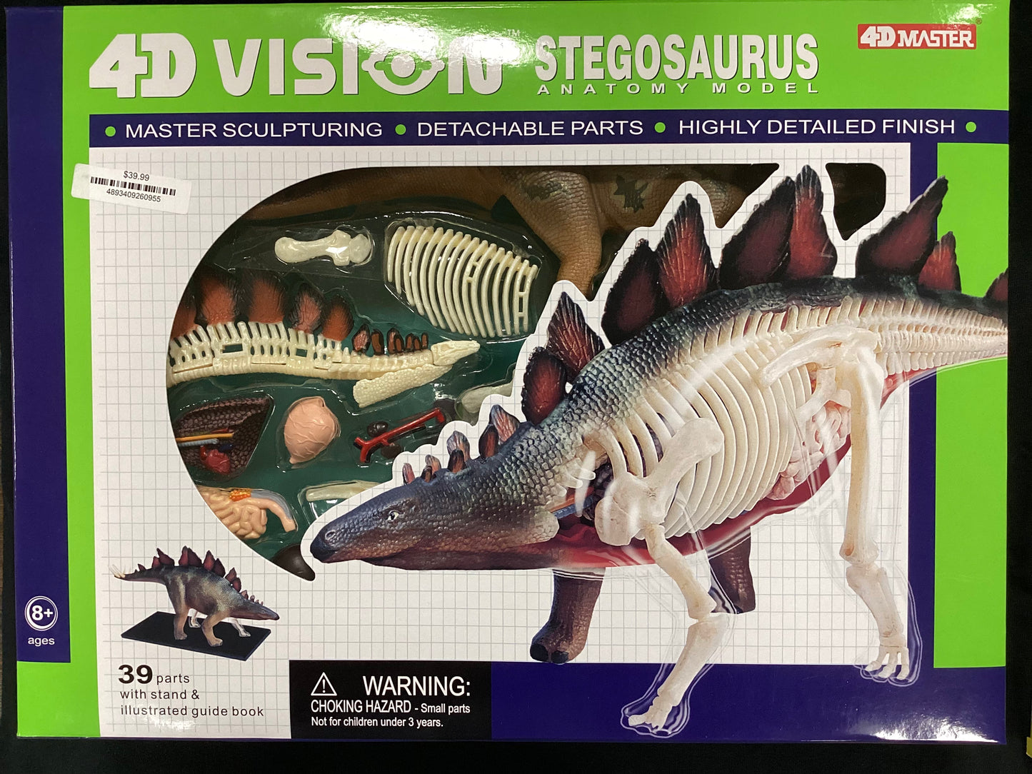 4D Vision - Stegosaurus Anatomy