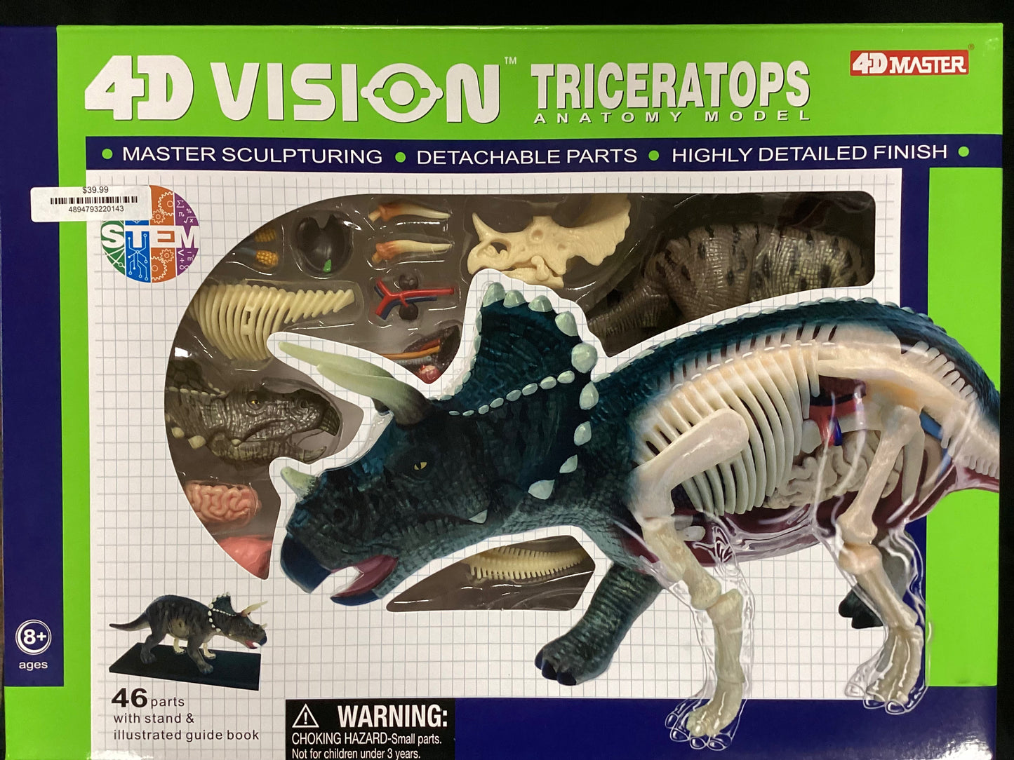 4D Vision - Triceratops Anatomy