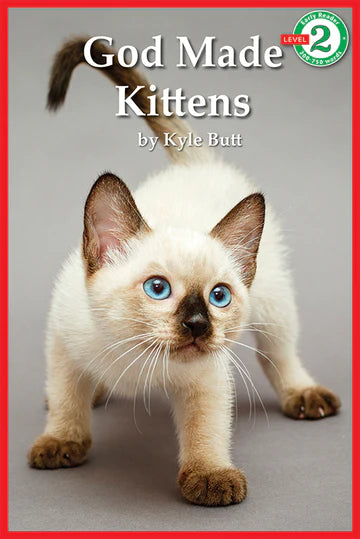 God Made Kittens