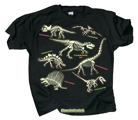 Electric Dinos T-Shirt, Youth