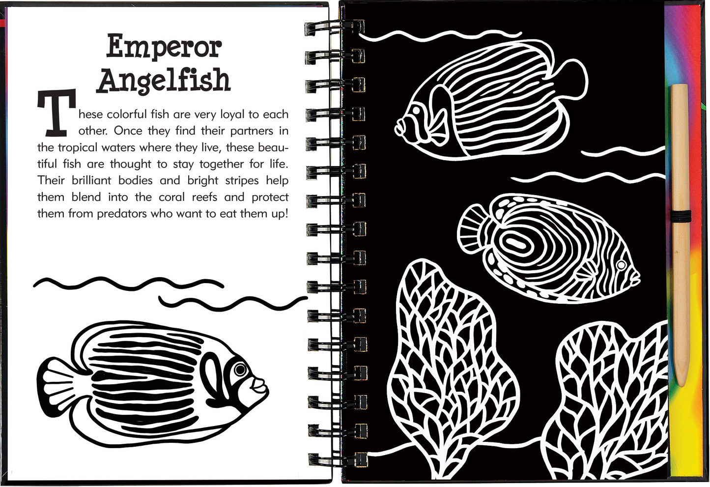Under the Sea Scratch and Sketch