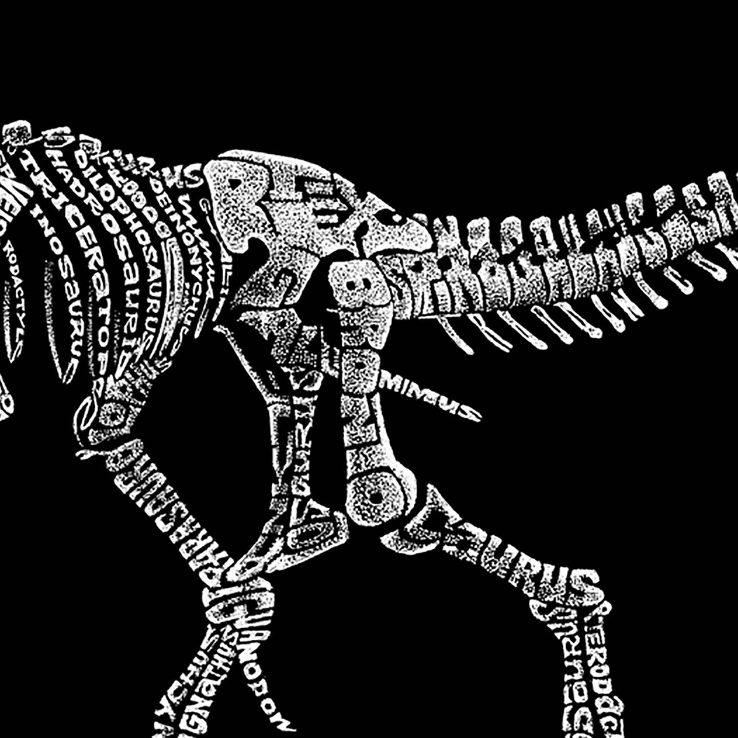 Kid's Hooded Sweatshirt - Dinosaur T-Rex Skeleton