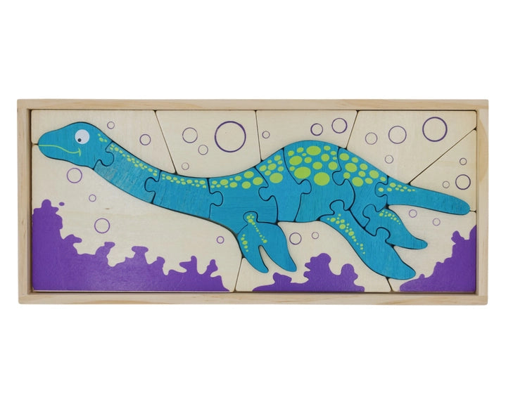 Plesiosaur Skeleton Puzzle
