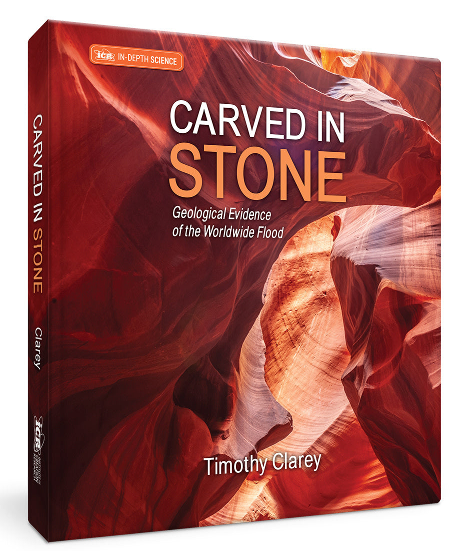 Carved in Stone