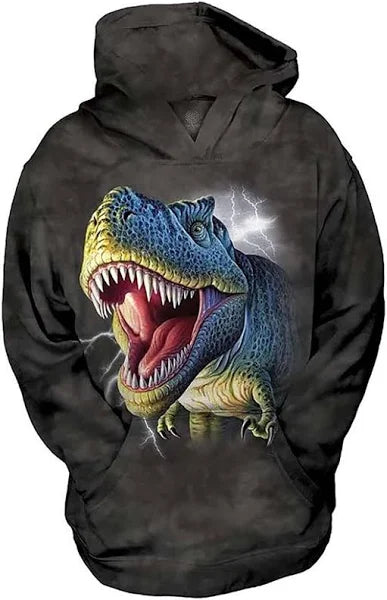 Lightning Rex Sweatshirt, Youth, Large