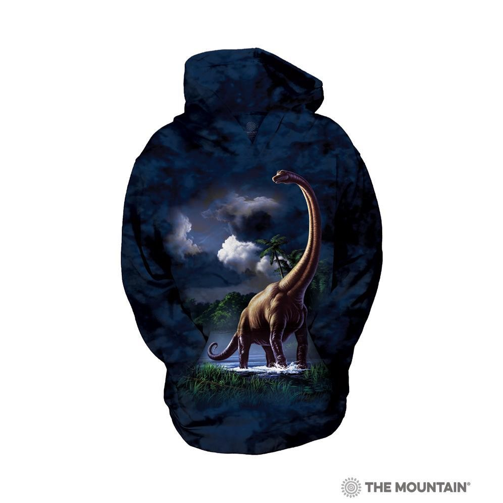 Brachiosaurus Sweatshirt, Youth, Small