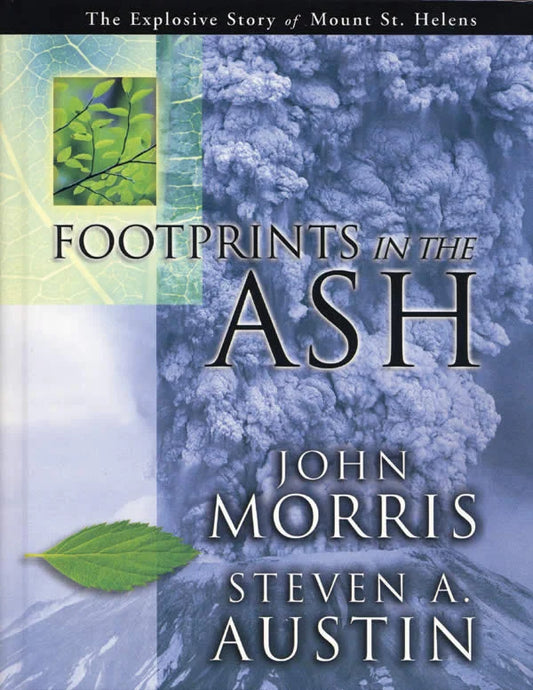 Footprints In the Ashes