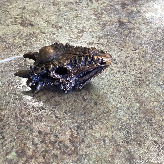 Stygimoloch Skull-Unmounted