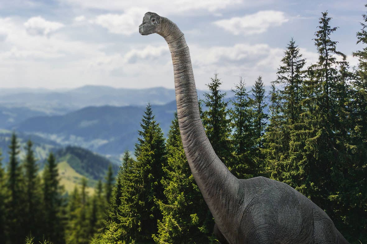 Brachiosaurus Steel Model Kit