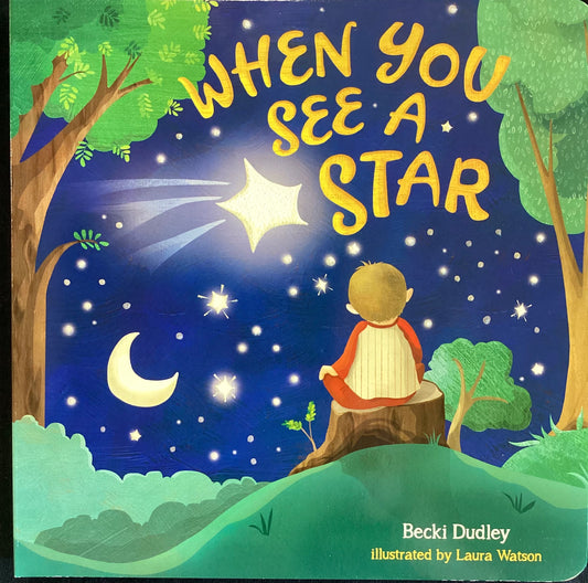 When You See a Star - Board Book
