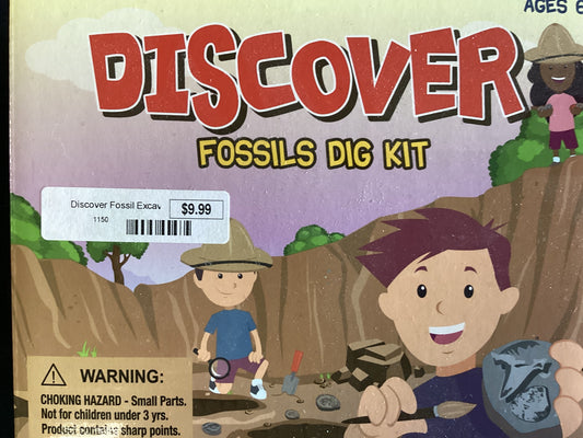 Discover Fossil Excavation Kit