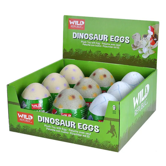 Dinosaur Egg w/ Plush Toy