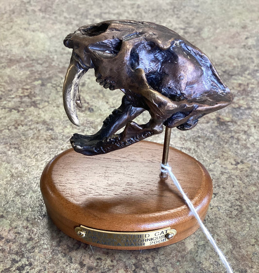 Saber Tooth Cat (Smilodon) Skull-Mounted
