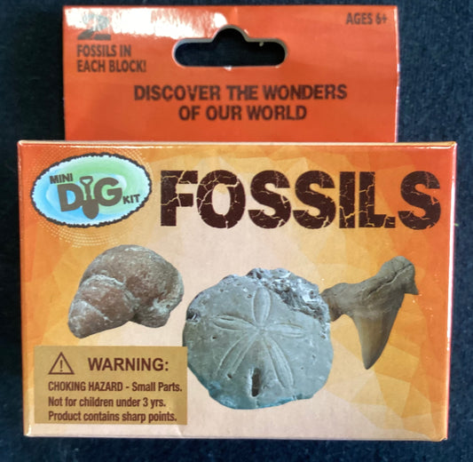 Mini Excavation Kit: Fossils