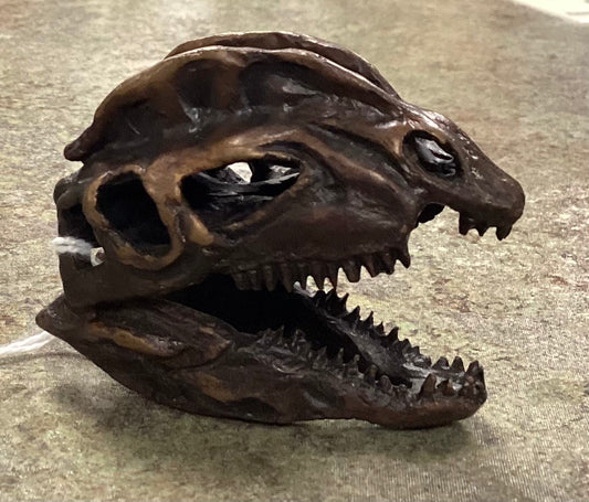 Dilophosaurus Skull-Unmounted