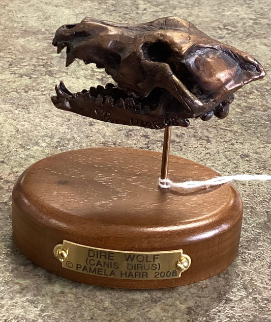 Dire Wolf Skull-Mounted