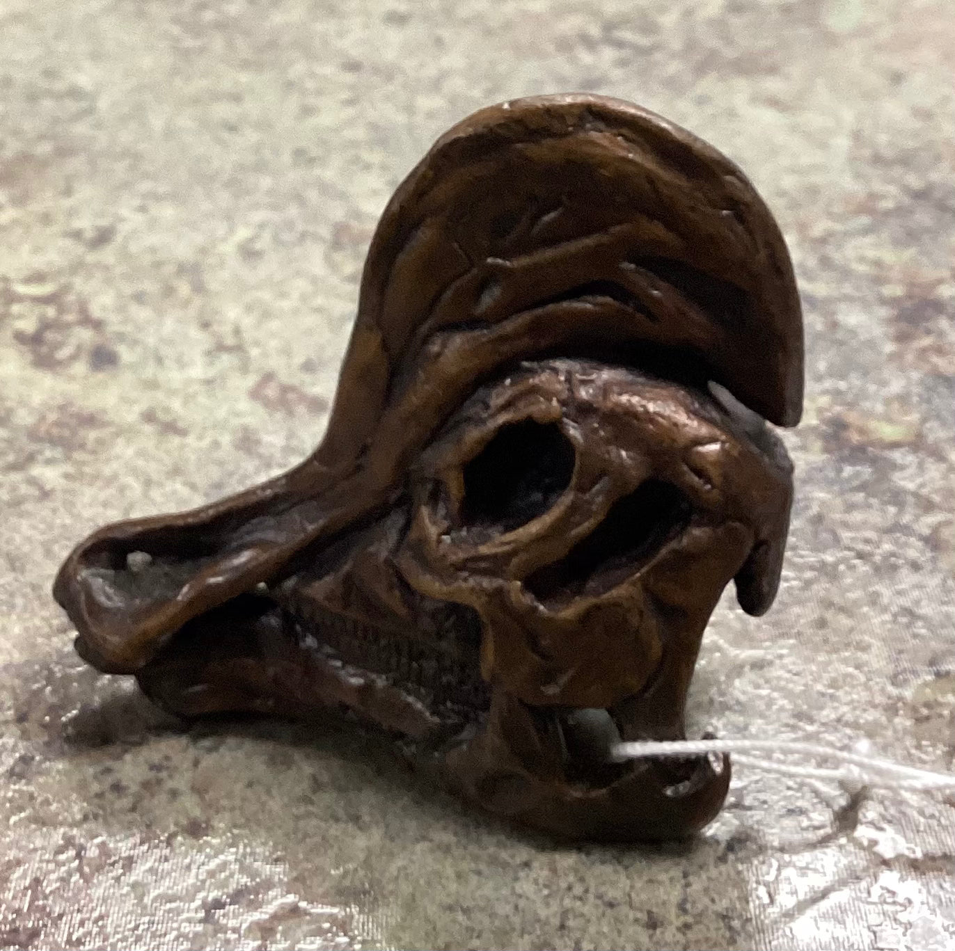 Corythosaurus Skull-Unmounted