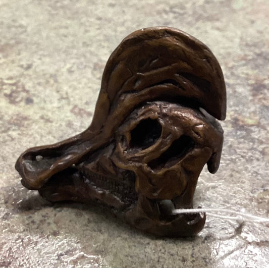 Corythosaurus Skull-Unmounted