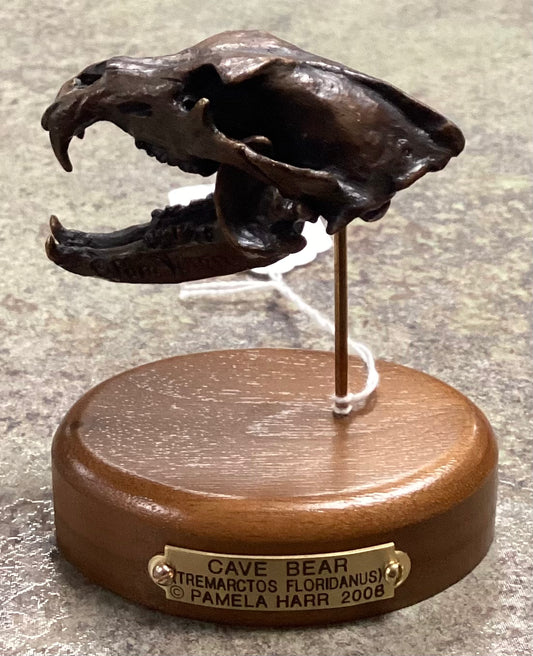 Cave Bear Skull-Mounted