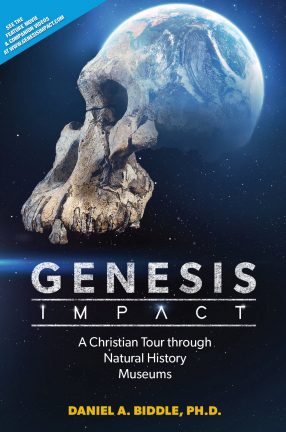 Genesis Impact