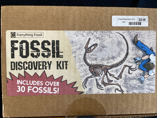 Fossil Discovery Kit 30 fossils