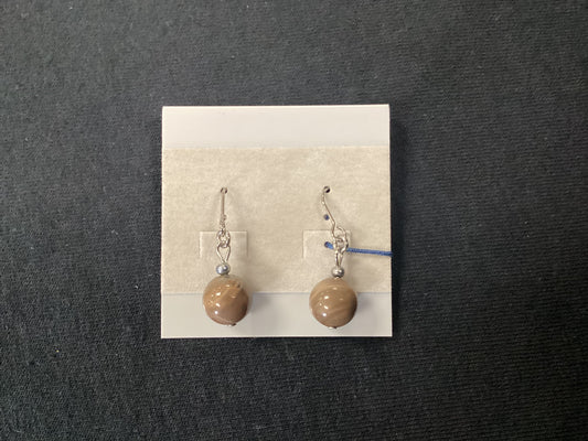 Petrified Wood Earrings