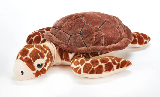 Wild Onez Loggerhead Turtle 16"