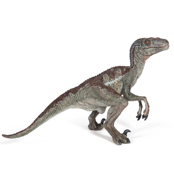 Papo Velociraptor – Glendive Dinosaur & Fossil Museum