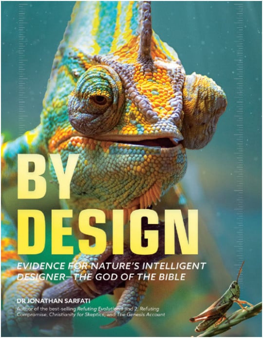 By Design - 2nd Edition