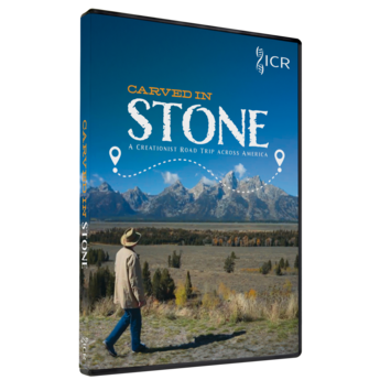 Carved in Stone, DVD