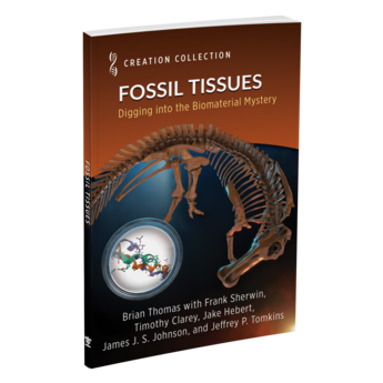 Fossil Tissues: Digging into the Biomaterial Mystery