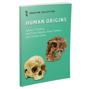 Human Origins