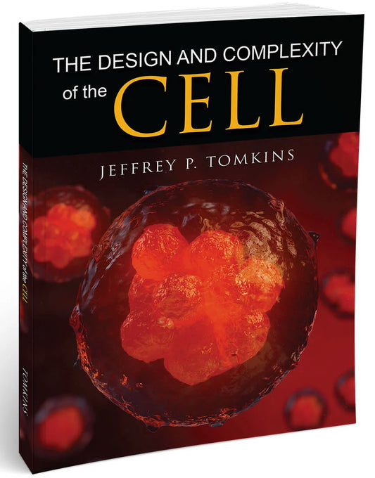 The Design and Complexity of the Cell