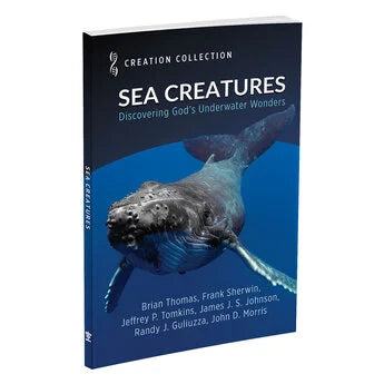 Sea Creatures: Discovering God's Underwater Wonders