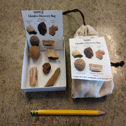 Glendive Discovery Bag-5 fossils