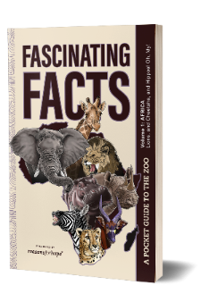 Fascinating Facts: Volume 1: Africa