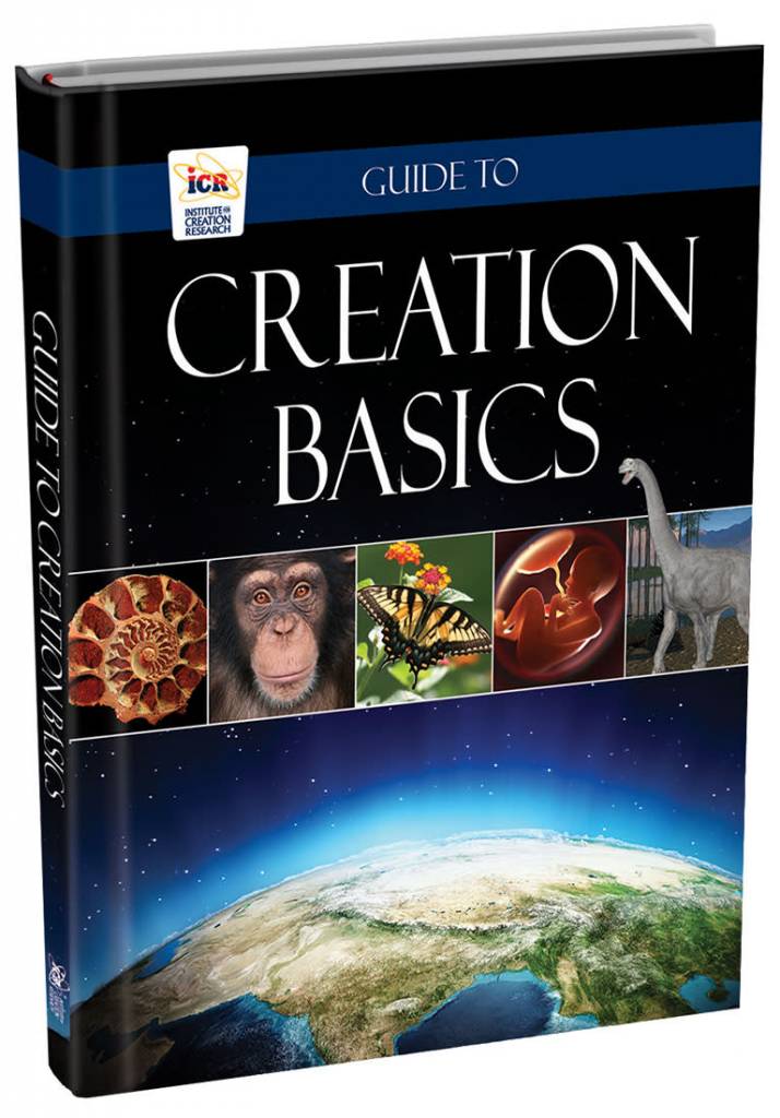 Guide to Creation Basics