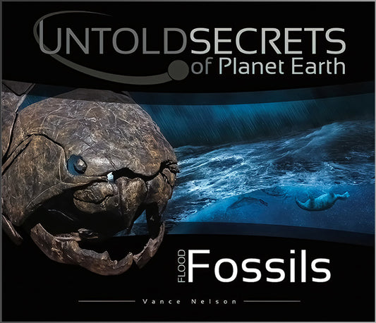 Flood Fossils